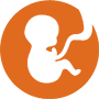 Orange icon of fetus